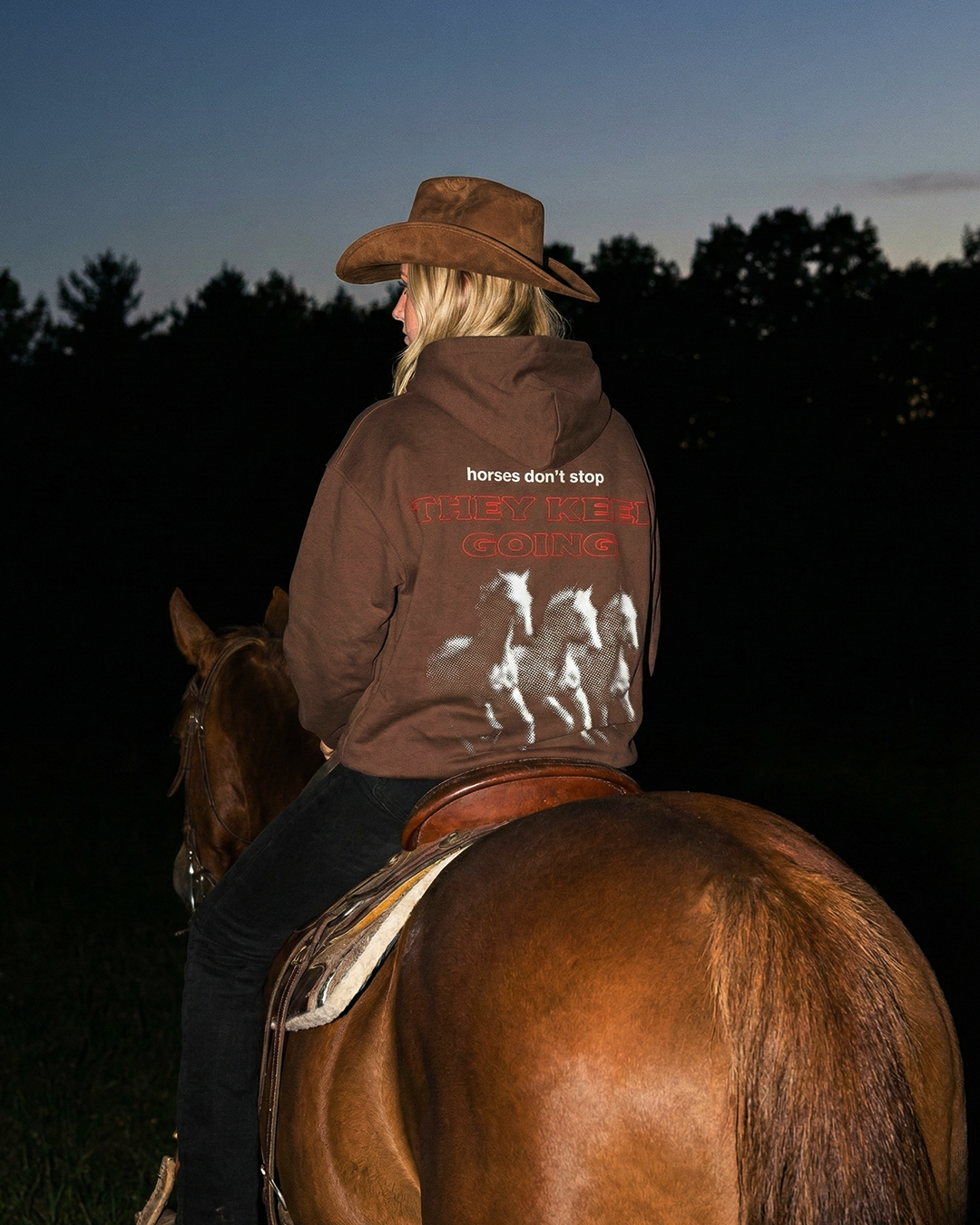 Produktbild 2 für HORSES DON'T STOP