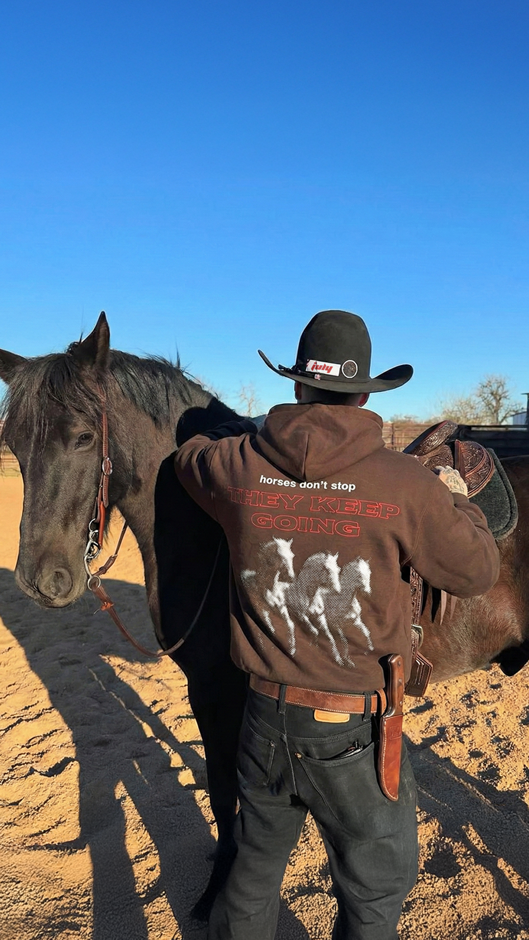 Produktbild 5 für HORSES DON'T STOP