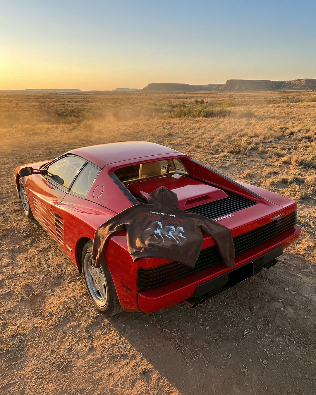 Produktbild 6 für HORSES DON'T STOP